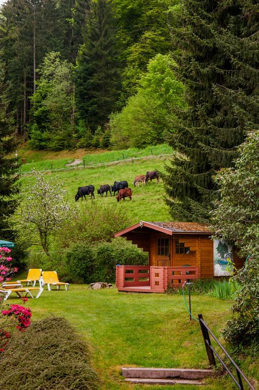 Holzschuhs Schwarzwaldhotel Baiersbronn Eksteriør billede